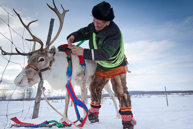 Tới Thụy Điển trải nghiệm văn hóa bản địa Sami