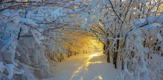 Vẵng cảnh mùa đông tuyệt đẹp của 1 số nước ở Châu Âu